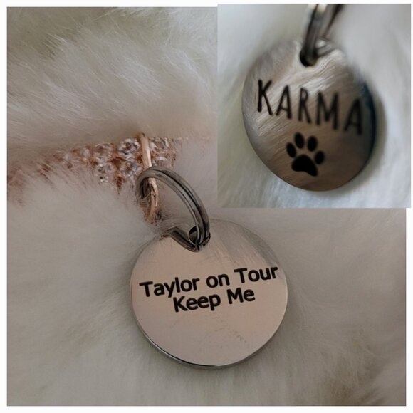 Taylor Swift " Cat Lady" inspired "KARMA" Plush Realistic Cat Gift Basket Bundle - Picture 4 of 6